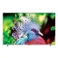 تلویزیون QLED هوشمند 55 اینچ سونیا مدل S-55LQ9630